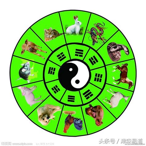 卦數|易經八卦:八卦卦象,含義,八卦關係,八卦與五行,八卦與。